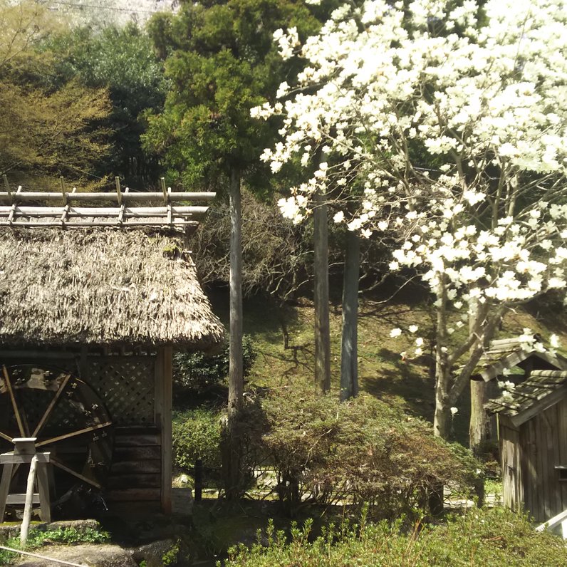 油山市民の森