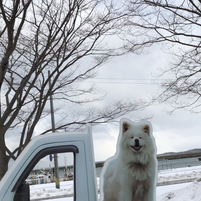 海の駅わんど鯵ヶ沢漁協女性部直売所