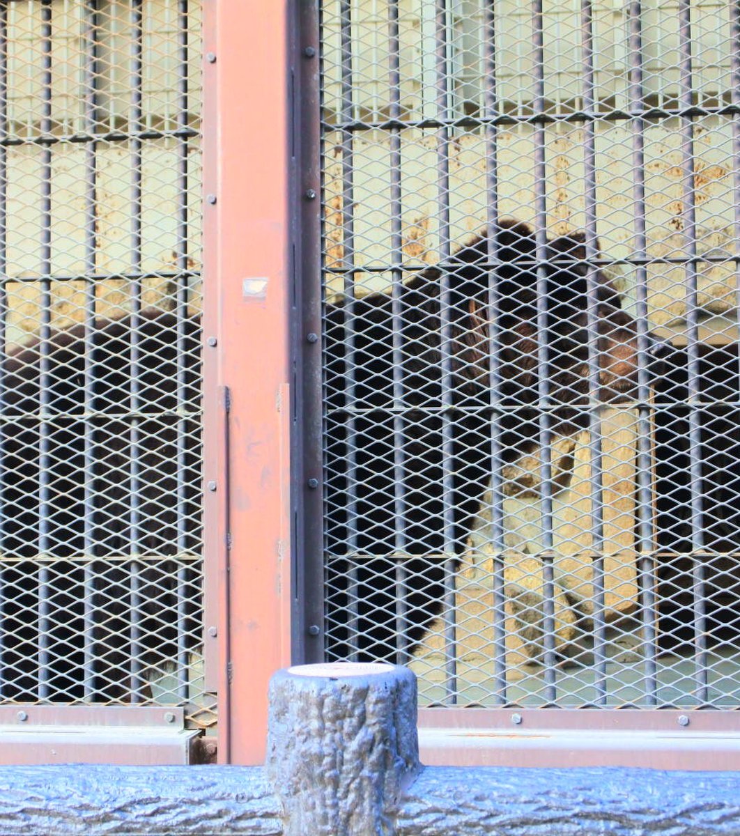 姫路市立動物園