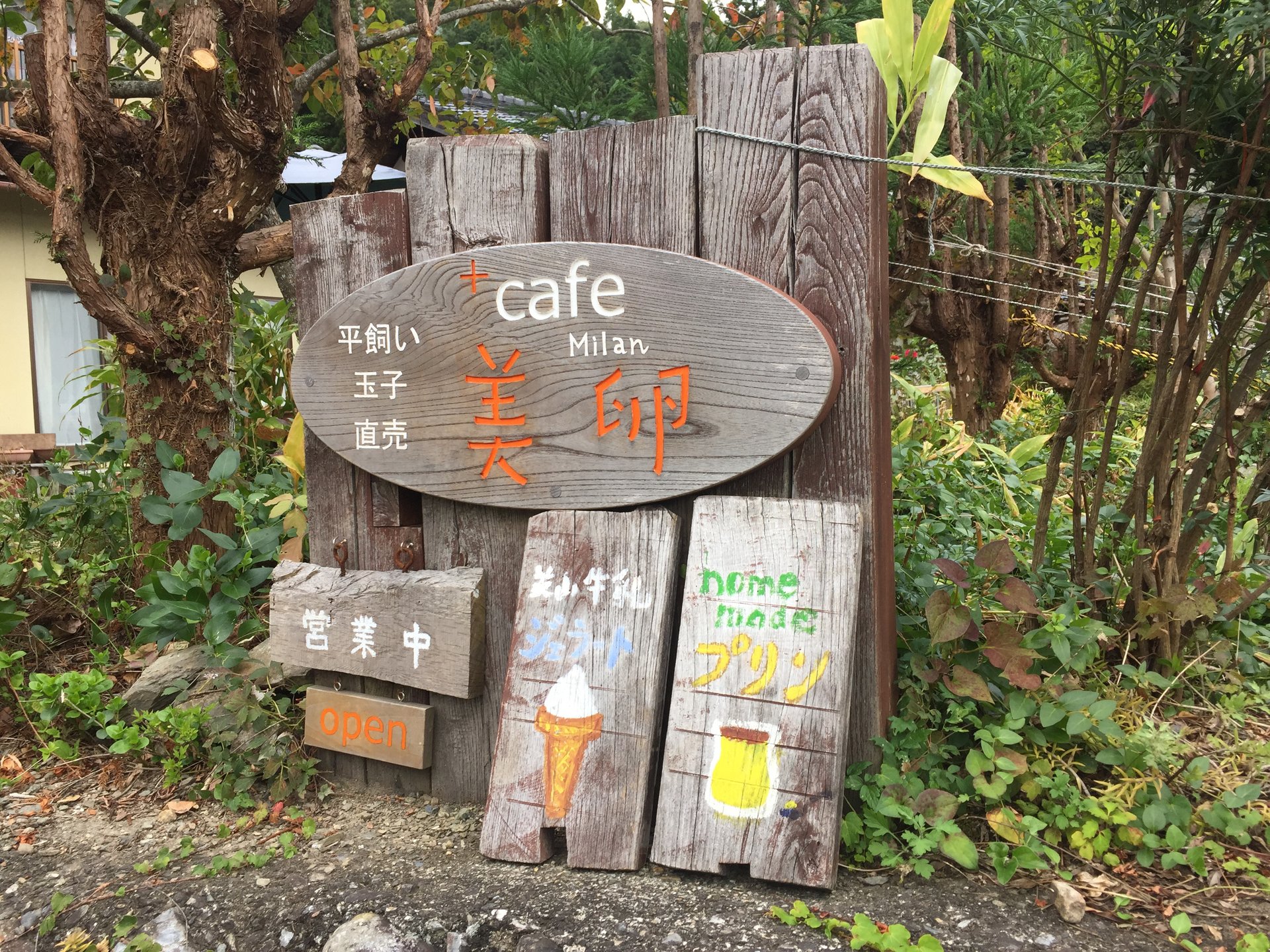 cafe美卵