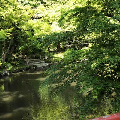 鶴岡八幡宮