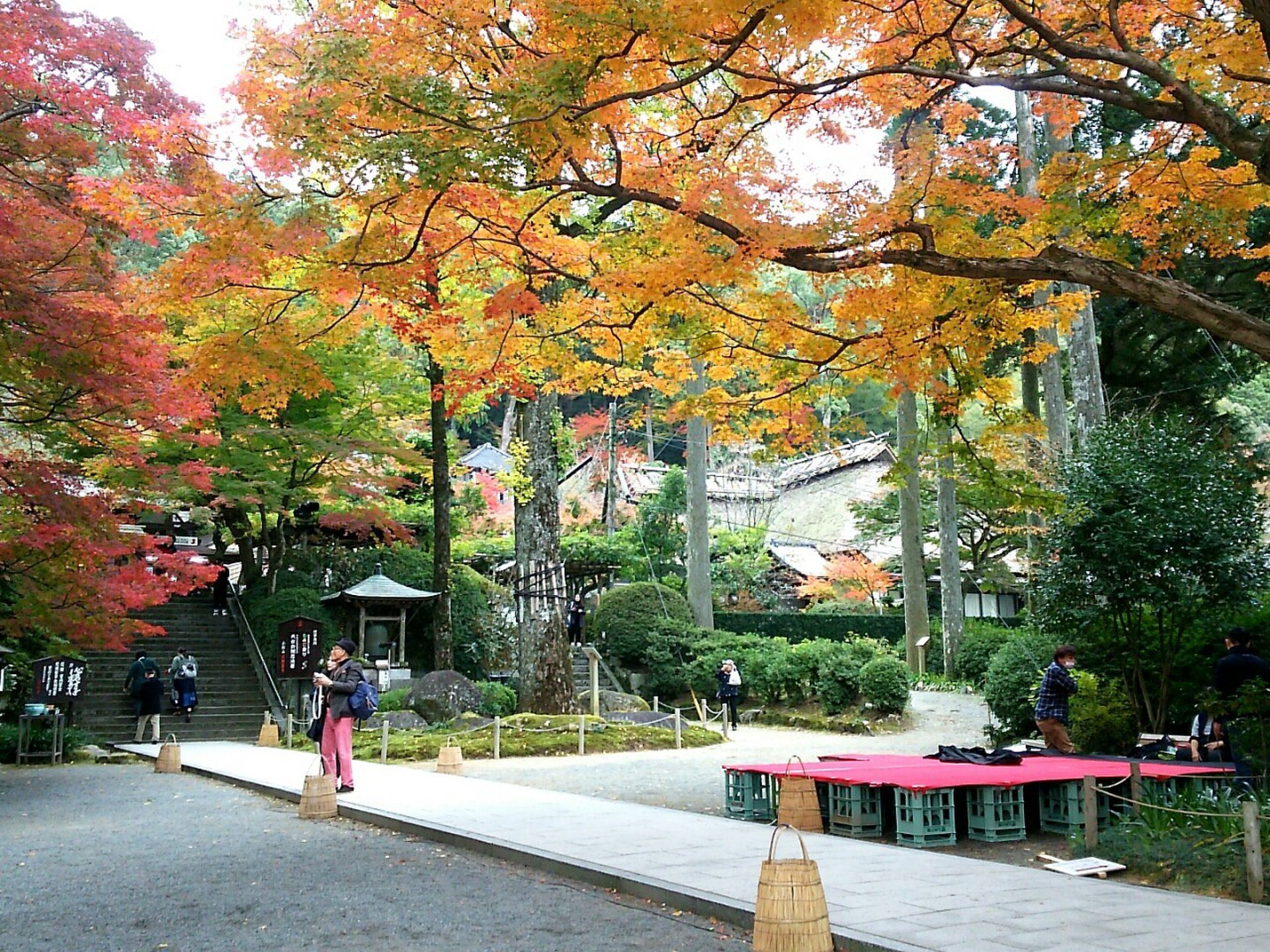 佐賀・大興善寺で大自然に癒されたい！？紅葉のライトアップを観に行こう！