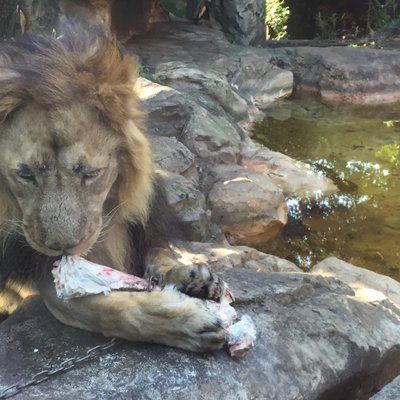 東京都恩賜上野動物園