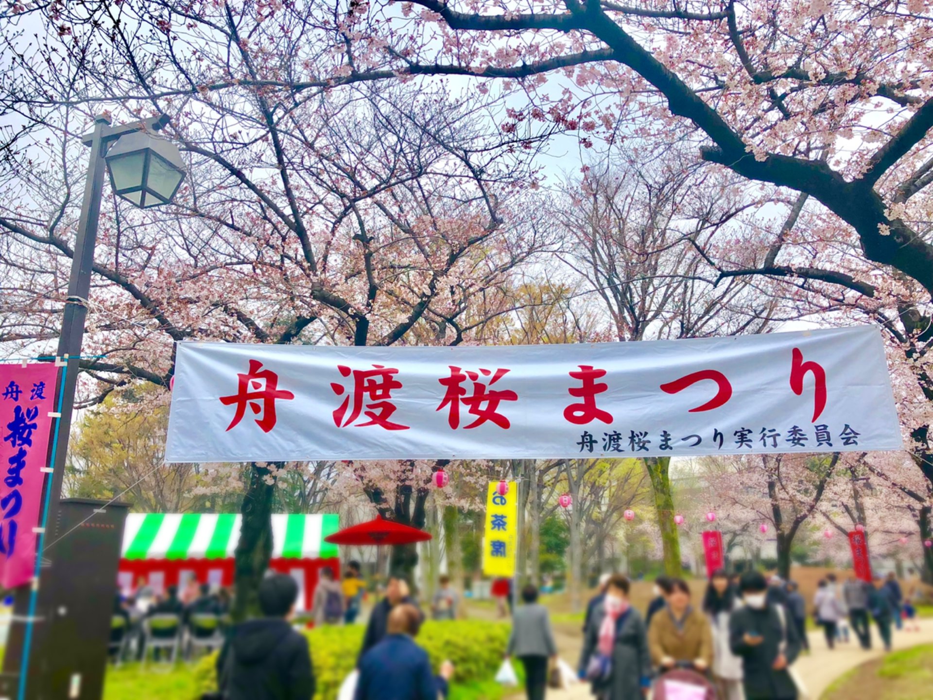 ▶穴場！お花見するなら浮間公園【舟渡桜まつり】