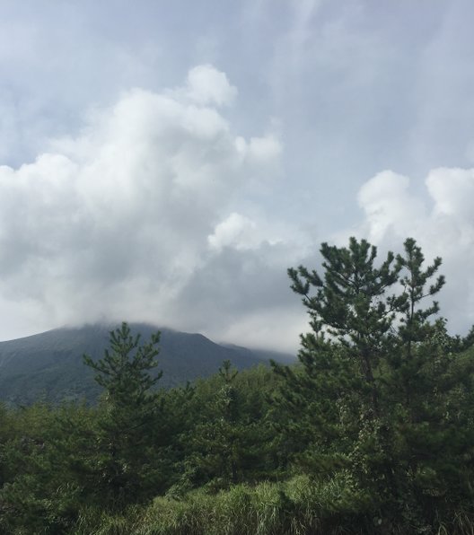 やぶ金 桜島フェリー店