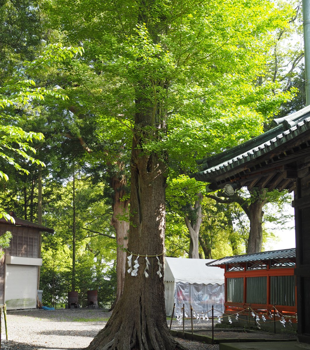 玉前神社