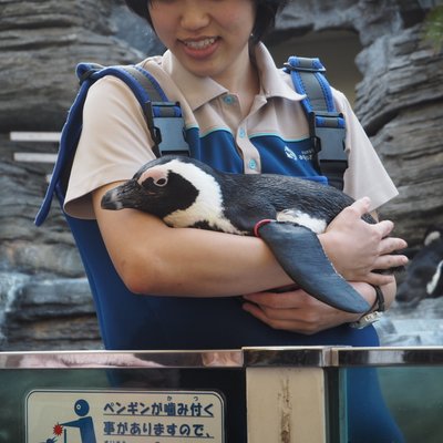 サンシャイン水族館