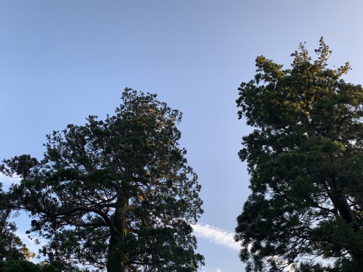 秋葉山本宮秋葉神社