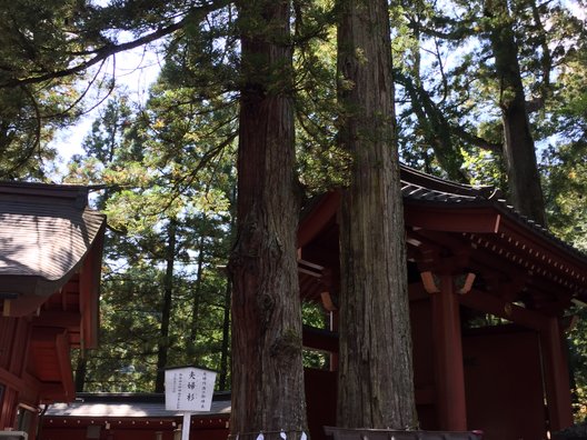 日光二荒山神社