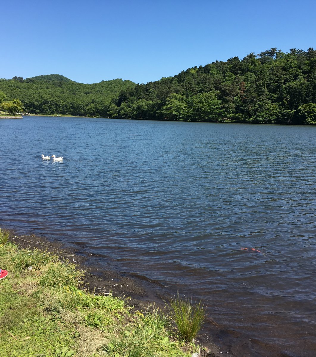 志高湖キャンプ場