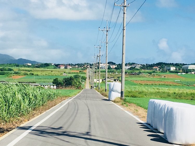 沖縄 小浜島 開放的な自然で時間を忘れてのんびり過ごしませんか 人気リゾートホテルで過ごす贅沢旅 Playlife プレイライフ