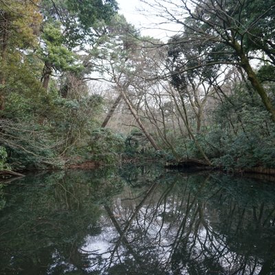 国立科学博物館附属自然教育園