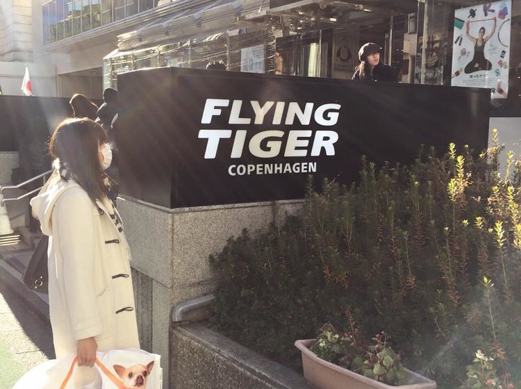 Flying Tiger Copenhagen フライング タイガー コペンハーゲン 表参道ストアの観光情報 見どころ 評判 アクセス等 Playlife プレイライフ