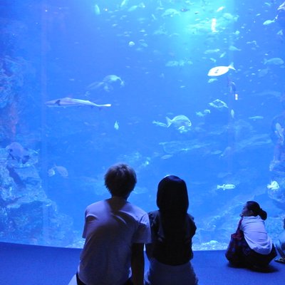 京都水族館