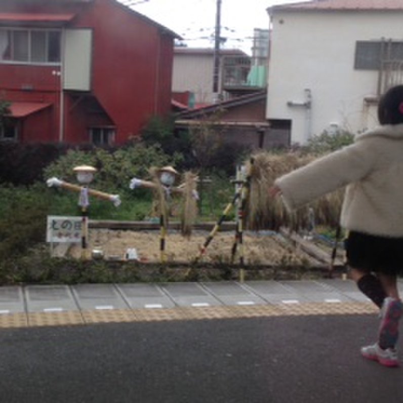 とびっちょ 本店