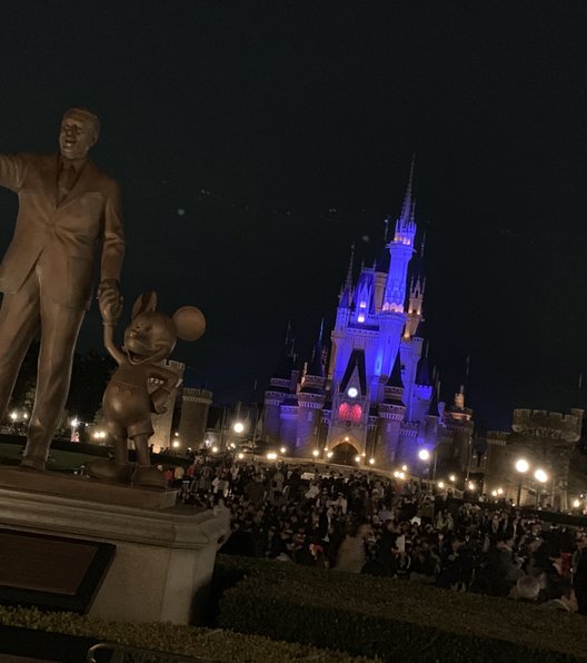 東京ディズニーランド(c)