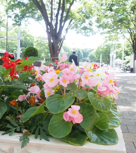 東京都庁