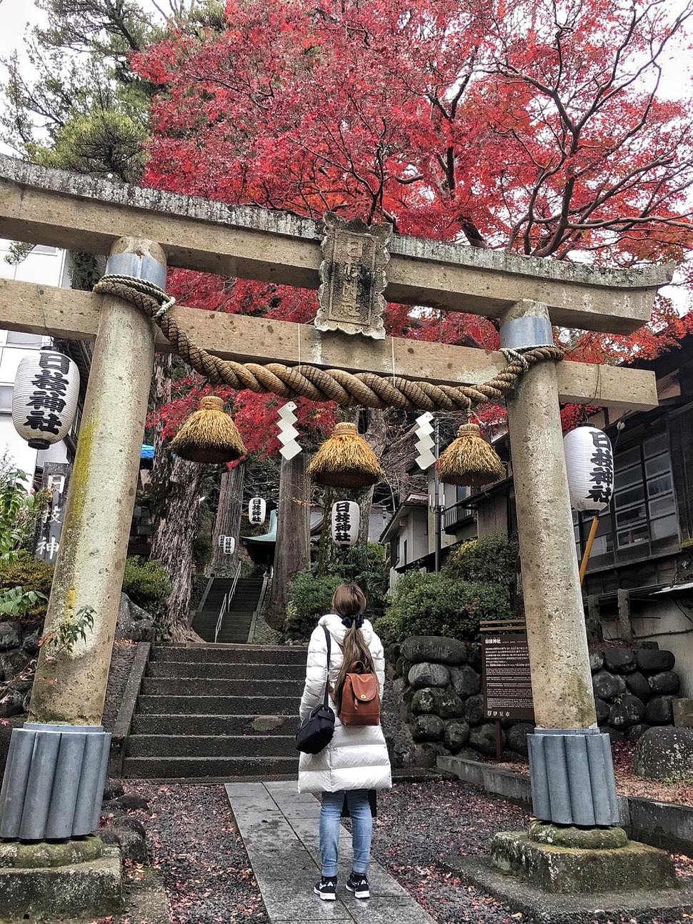 都内からさくっと日帰り世界遺産 伊豆の観光地巡り 修禅寺の竹林や韮山反射炉へ Playlife プレイライフ