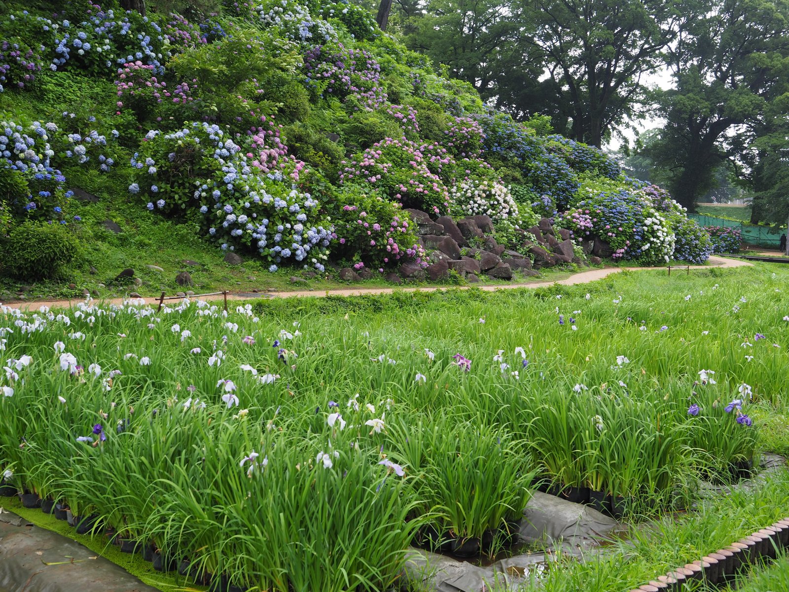 小田原城