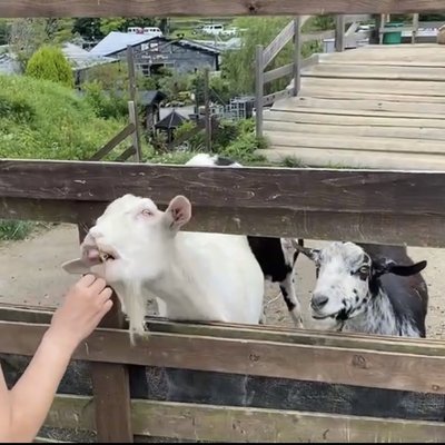 THE FARM UNIVERSAL OSAKA(ザ ファーム ユニバーサル オオサカ)