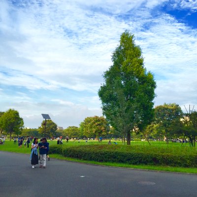 木場公園