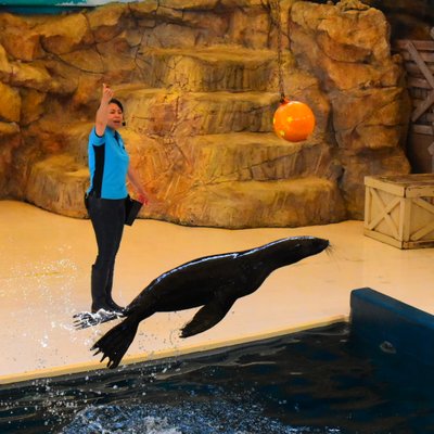 鳥羽水族館