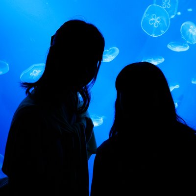 すみだ水族館