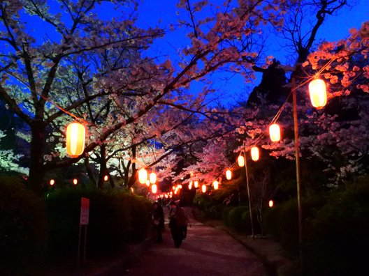 五月山公園