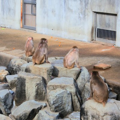 東公園