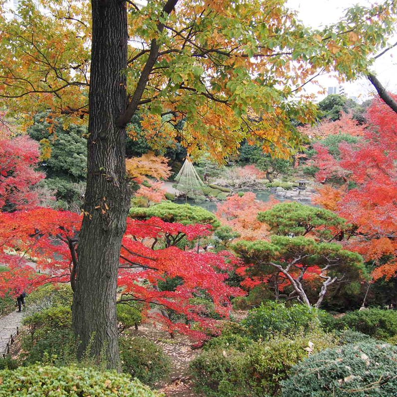 旧古河庭園