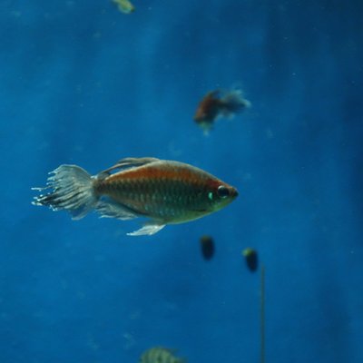 サンシャイン水族館