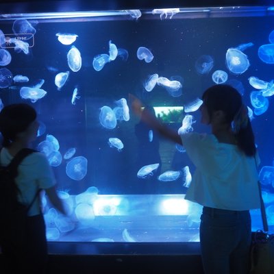 すみだ水族館