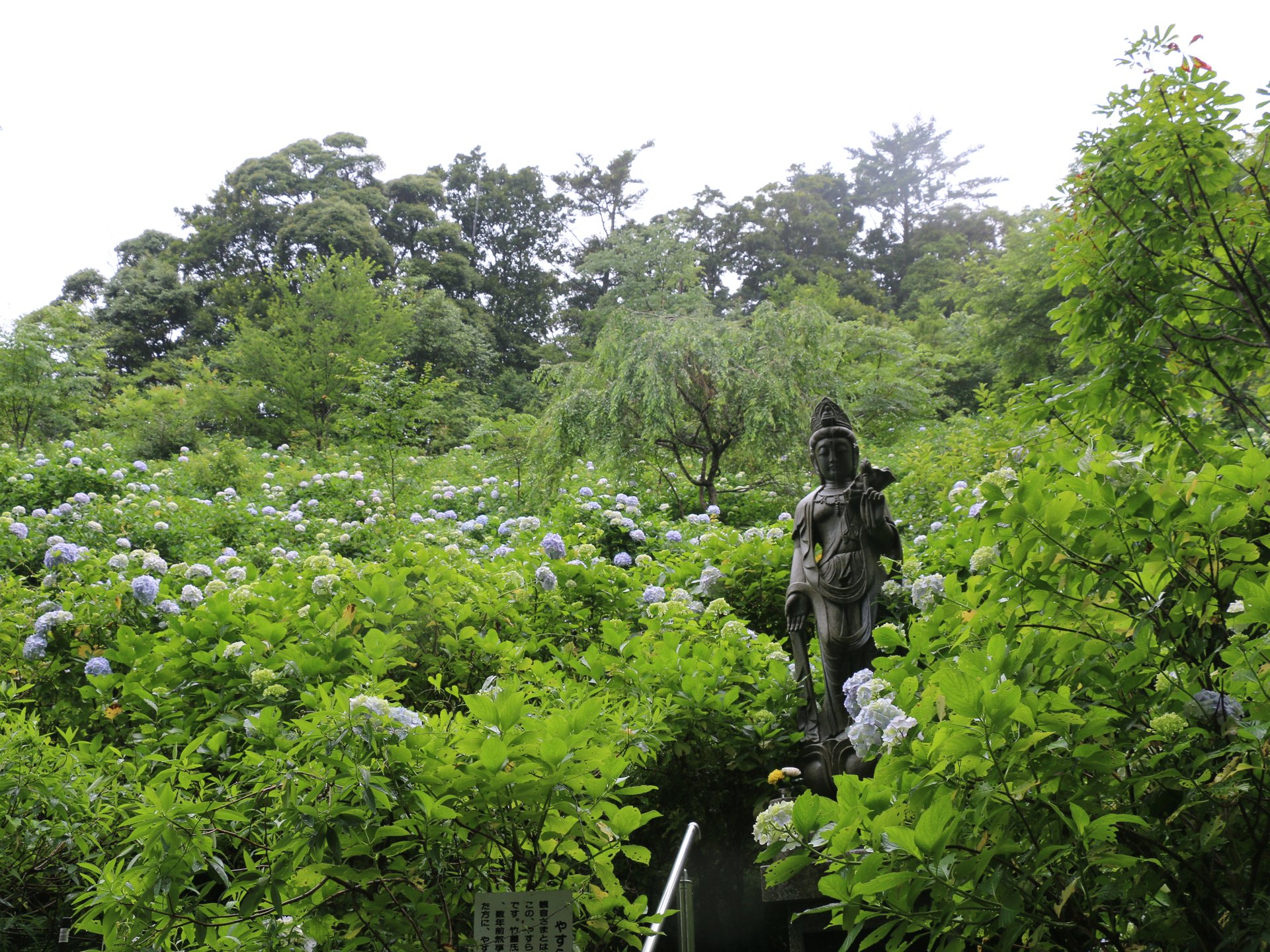 麻綿原天拝園