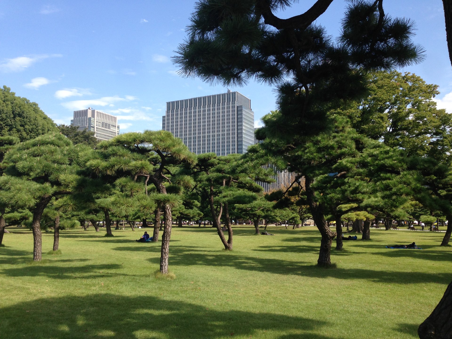 【外国人観光客におすすめ】皇居前広場観光の後は東京の中心で日本の和食を楽しむ！