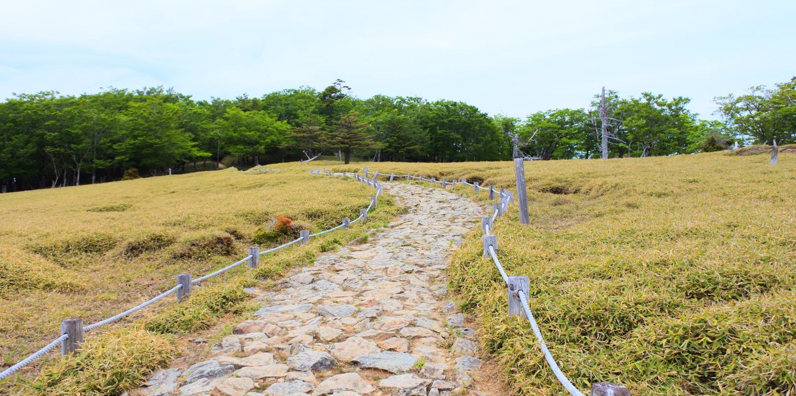 大台ケ原(日出ヶ岳)