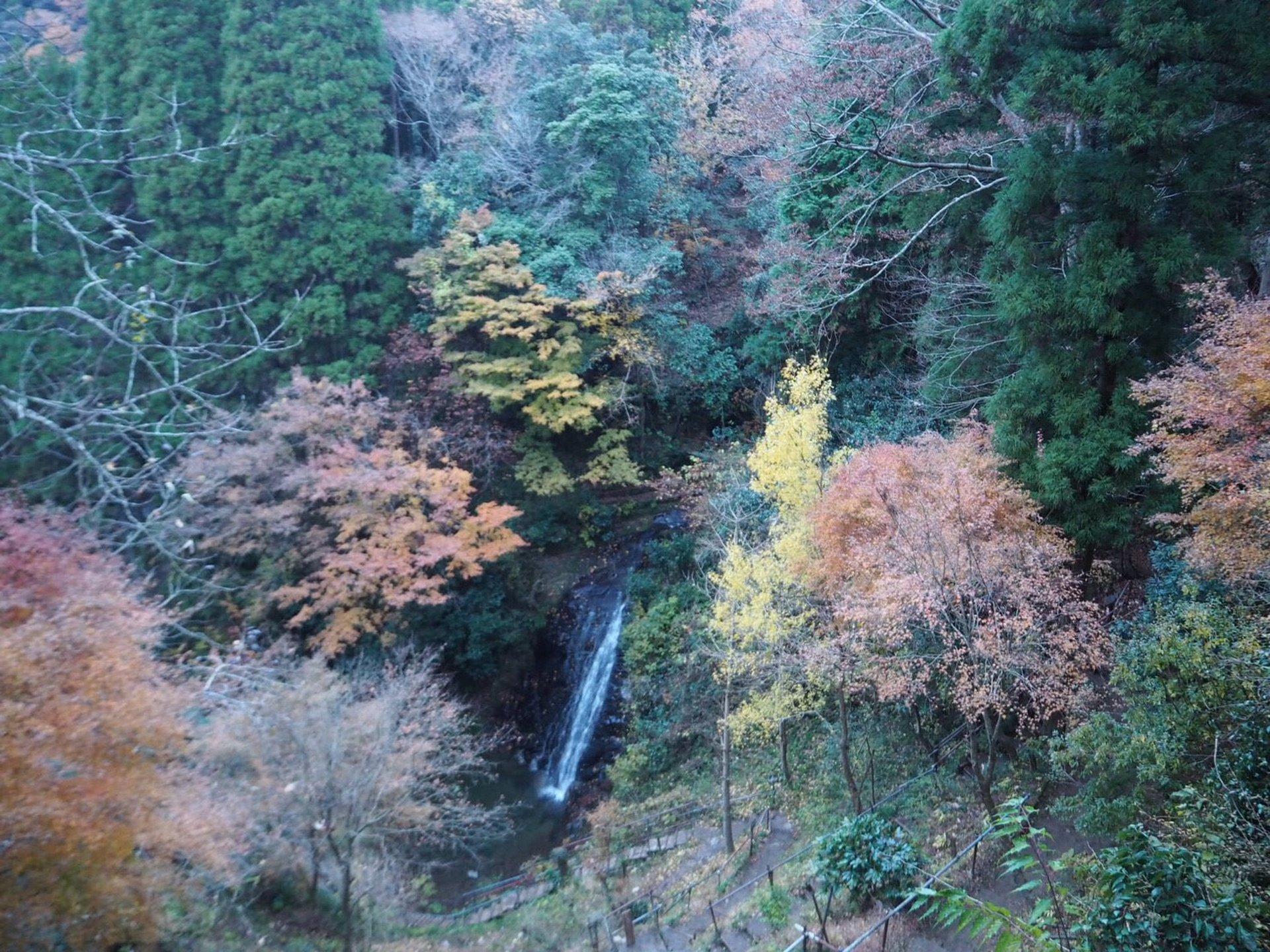 GoToトラベルにおすすめ！千葉紅葉名所「養老渓谷」の完全ガイド