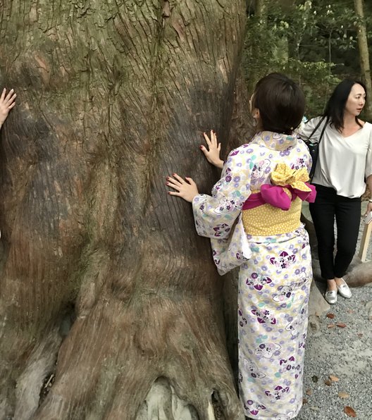 伊勢神宮内宮(皇大神宮)