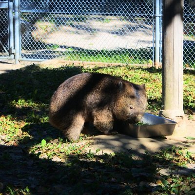 五月山動物園