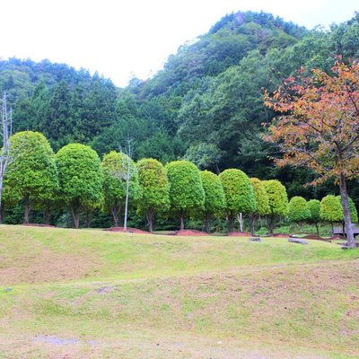 室生山上公園芸術の森