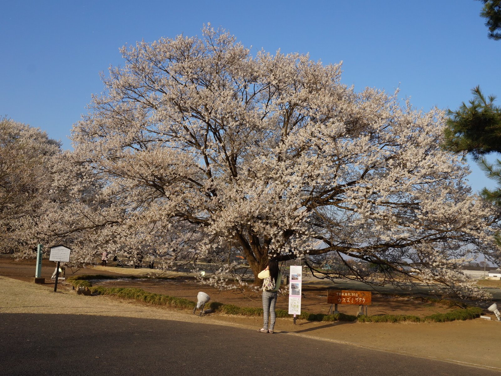 天平の丘公園