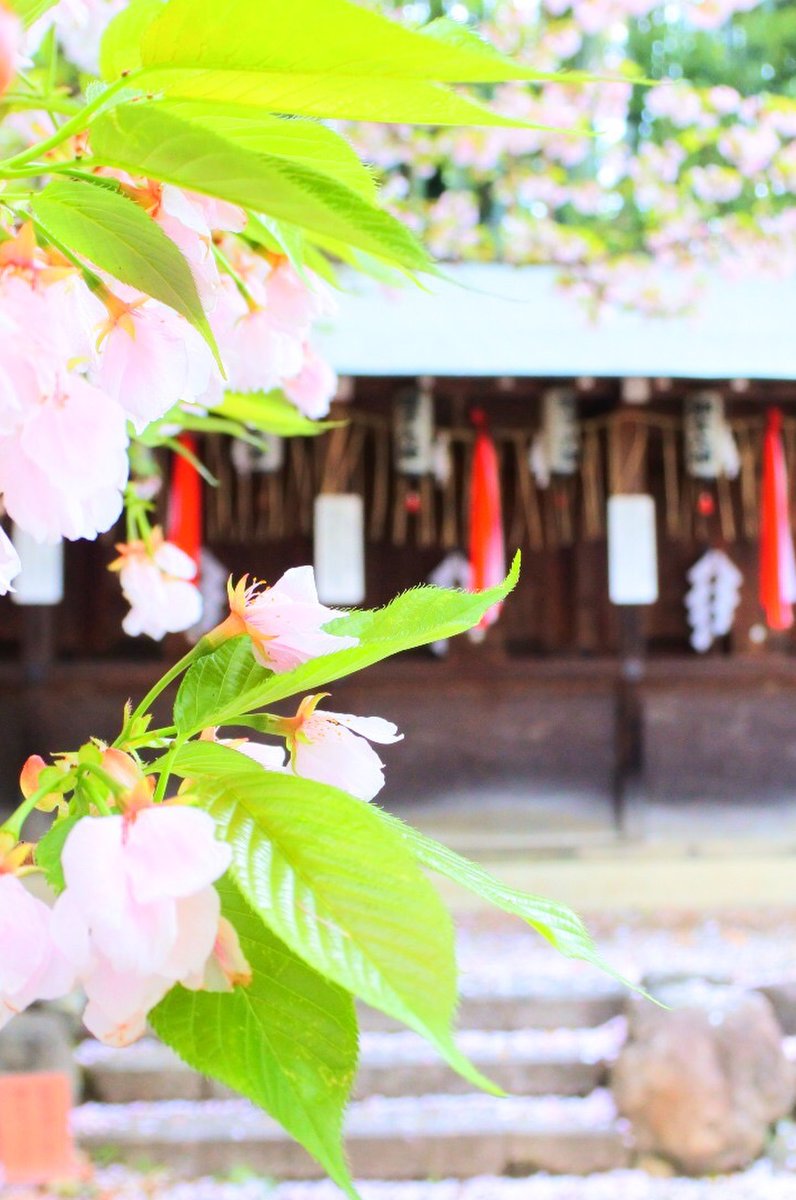 平野神社