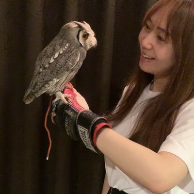 フクロウカフェ&バー 格闘梟