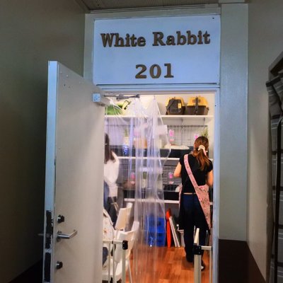 White Rabbit