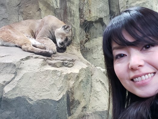 神戸どうぶつ王国でスナネコの赤ちゃん 三ノ宮駅近くの美味しい明石焼き ケーキの美味しいカフェ Playlife プレイライフ