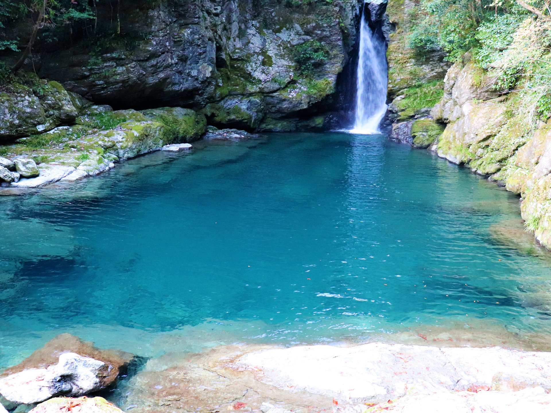 高知県のおすすめ絶景スポット10選！定番＆穴場の自然豊かな観光地を厳選