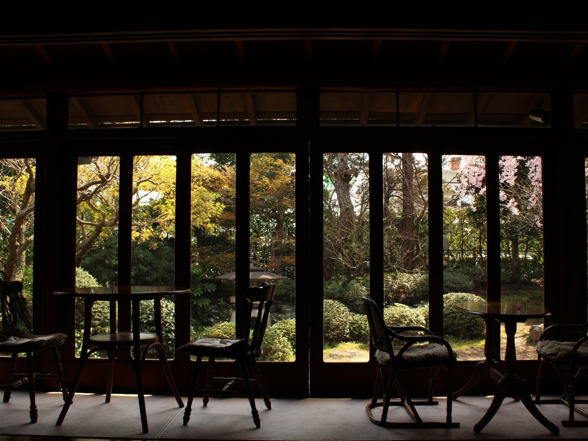 【東京厳選・隠れ家カフェ】縁側カフェで過ごす、古き良き奇跡の空間
