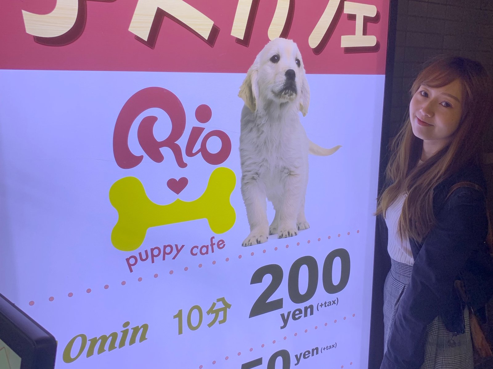 16種類の子犬にキュン 下北沢 Rio は究極の癒しスポットだった Playlife プレイライフ