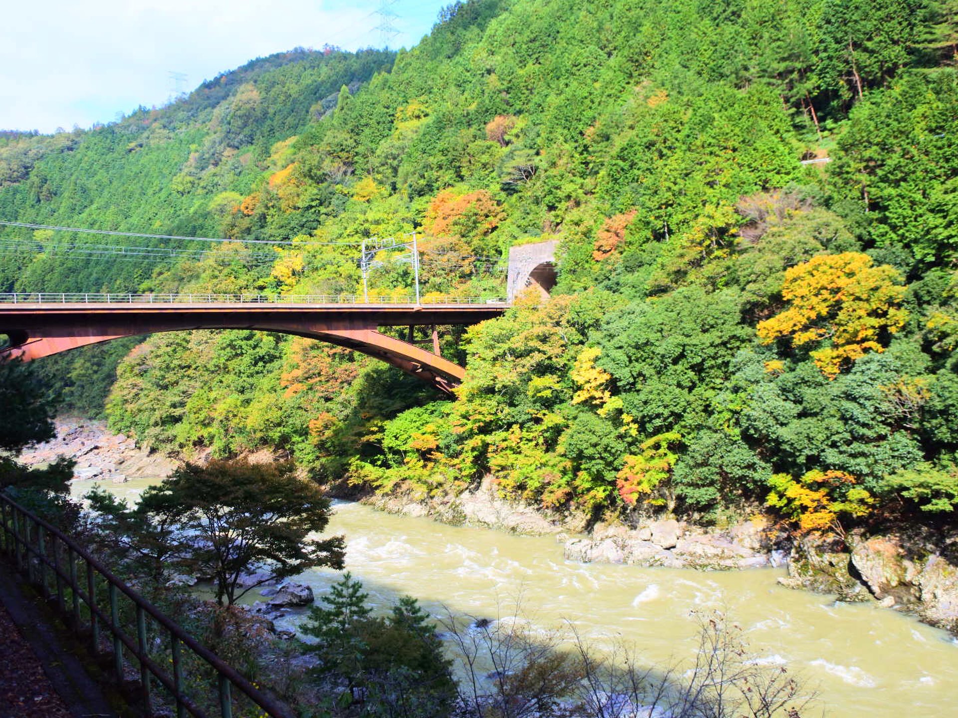【京都観光】嵐山デートの定番！トロッコ列車で京都の四季を感じよう！