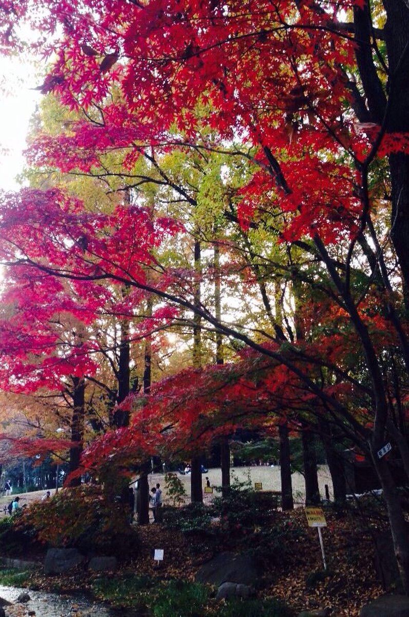 蚕糸の森公園