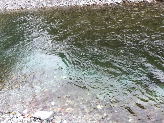 氷川国際ます釣場